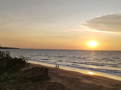 casuarina-gallery-img1