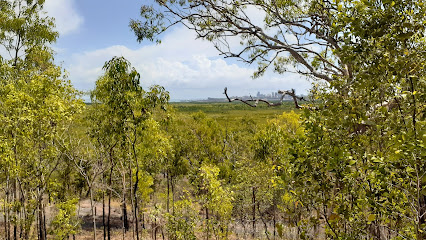 winnellie-gallery-img2